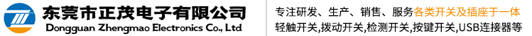 東莞市正茂電子有限公司